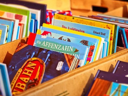 Bunte Kinderbücher liegen in einem Karton, darunter ein Buch mit dem Titel "Im Affenzahn".